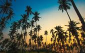 Туры в отель Lazy Day The Resort