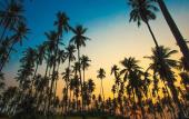 Туры в отель Lazy Day The Resort
