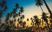 Туры в отель Lazy Day The Resort