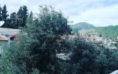 Туры в отель The Mu Hotel