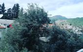 Туры в отель The Mu Hotel