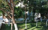 Туры в отель The Mu Hotel