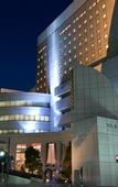 Туры в отель Rembrandt Hotel Tokyo Machida