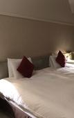 Туры в отель Rembrandt Hotel Tokyo Machida