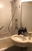 Туры в отель Rembrandt Hotel Tokyo Machida