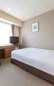 Туры в отель Rembrandt Hotel Tokyo Machida