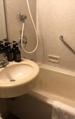 Туры в отель Rembrandt Hotel Tokyo Machida