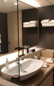 Туры в отель Rembrandt Hotel Tokyo Machida