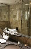 Туры в отель Rembrandt Hotel Tokyo Machida