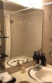 Туры в отель Rembrandt Hotel Tokyo Machida
