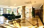 Туры в отель Phoenix Hotel