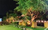 Туры в отель Phoenix Hotel