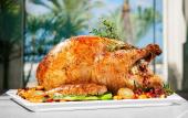 Туры в отель Palma Hotel