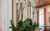Туры в отель Hotel Bologna
