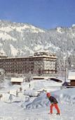 Туры в отель Villars Palace