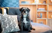 Туры в отель Moxy the Hague