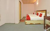 Туры в отель OYO 90599 Villa De Rose