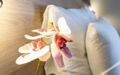 Туры в отель Ha Hotel Mostar