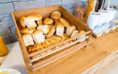 Туры в отель Rezidenca Ortus