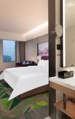 Туры в отель Hampton by Hilton Chengdu Pidu Hi-Tech Zone