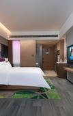 Туры в отель Hampton by Hilton Chengdu Pidu Hi-Tech Zone