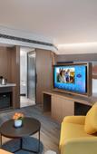 Туры в отель Hampton by Hilton Chengdu Pidu Hi-Tech Zone