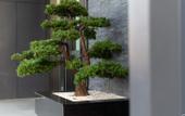Туры в отель Guangzhou Huadu Sunac Renjoy Hotel