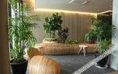 Туры в отель Roxy Hotel Aiman