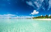 Туры в отель Absolute Beachfront Resort