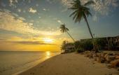 Туры в отель Absolute Beachfront Resort