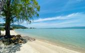 Туры в отель Absolute Beachfront Resort