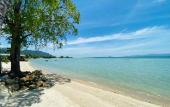 Туры в отель Absolute Beachfront Resort