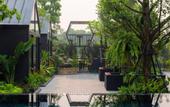 Туры в отель The View Chiang Dao