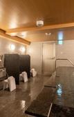 Туры в отель KOKO HOTEL Shizuoka