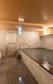 Туры в отель KOKO HOTEL Shizuoka