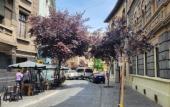 Туры в отель Hotel Voila Londres