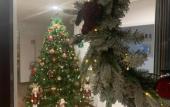 Туры в отель Rooms alCentro