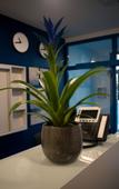 Туры в отель Hotel Blue