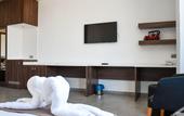 Туры в отель Dorana Hotel Lefkosa