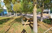 Туры в отель Dorana Hotel Lefkosa