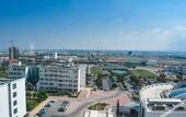 Туры в отель Dorana Hotel Lefkosa