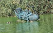 Туры в отель Dorana Hotel Lefkosa