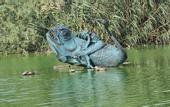Туры в отель Dorana Hotel Lefkosa