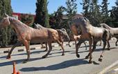 Туры в отель Dorana Hotel Lefkosa