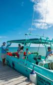 Туры в отель Delek Holbox