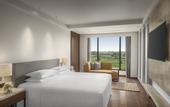 Туры в отель Hyatt Place Haridwar