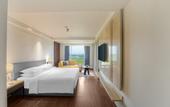 Туры в отель Hyatt Place Haridwar