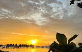 Туры в отель Freedom Beach Resort