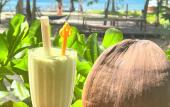 Туры в отель Freedom Beach Resort