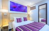 Туры в отель FH Confort Hotel Orleans